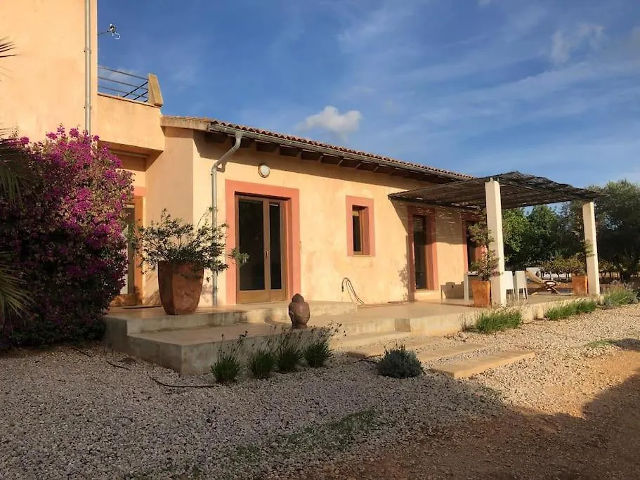Finca Mia Limon Algaida  Villa Algaida (Mallorca)