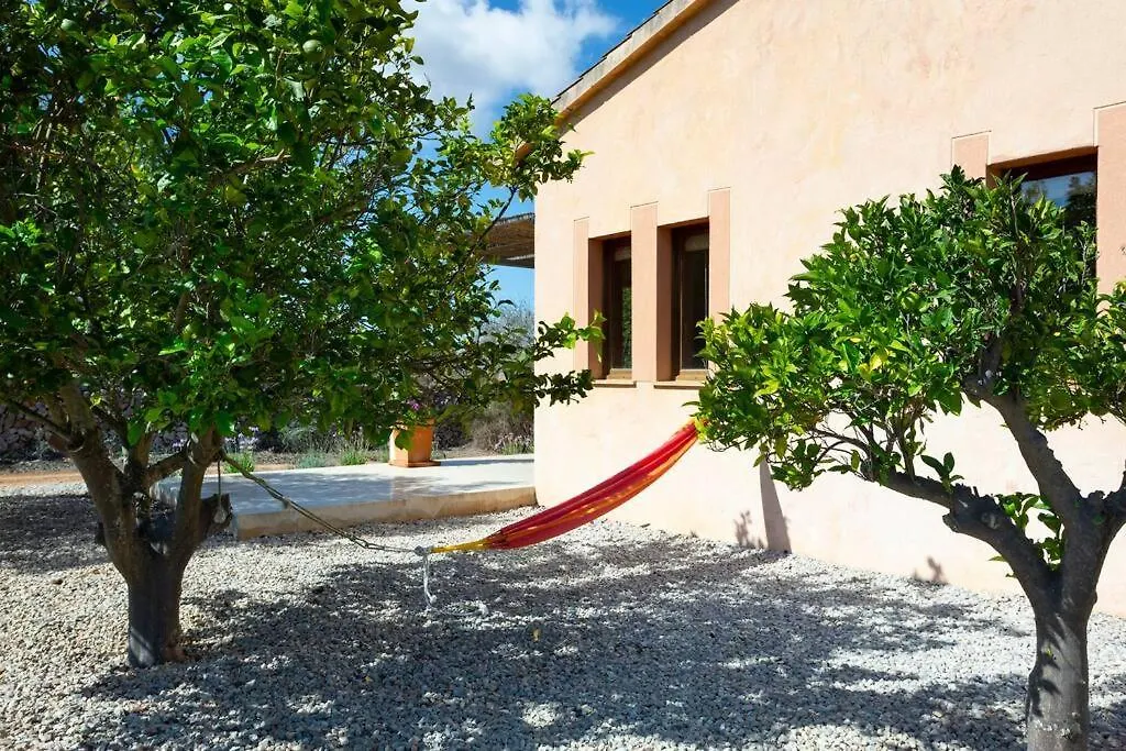Finca Mia Limon Algaida  Villa