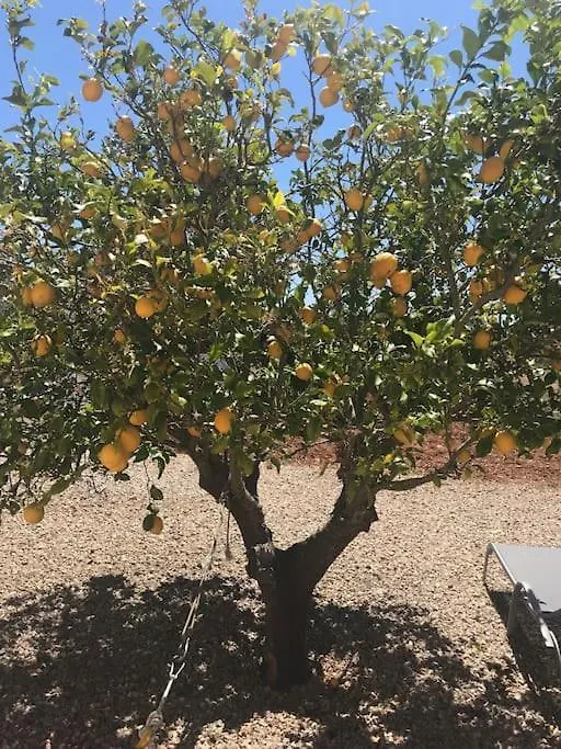 Finca Mia Limon Algaida  0*, Algaida (Mallorca)