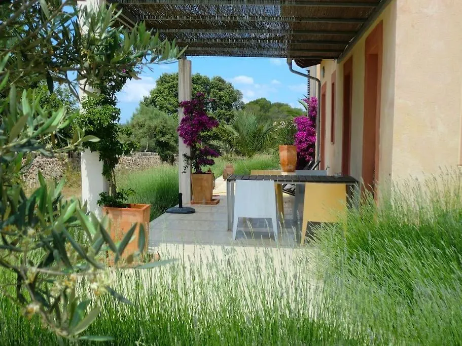 Villa Finca Mia Limon Algaida