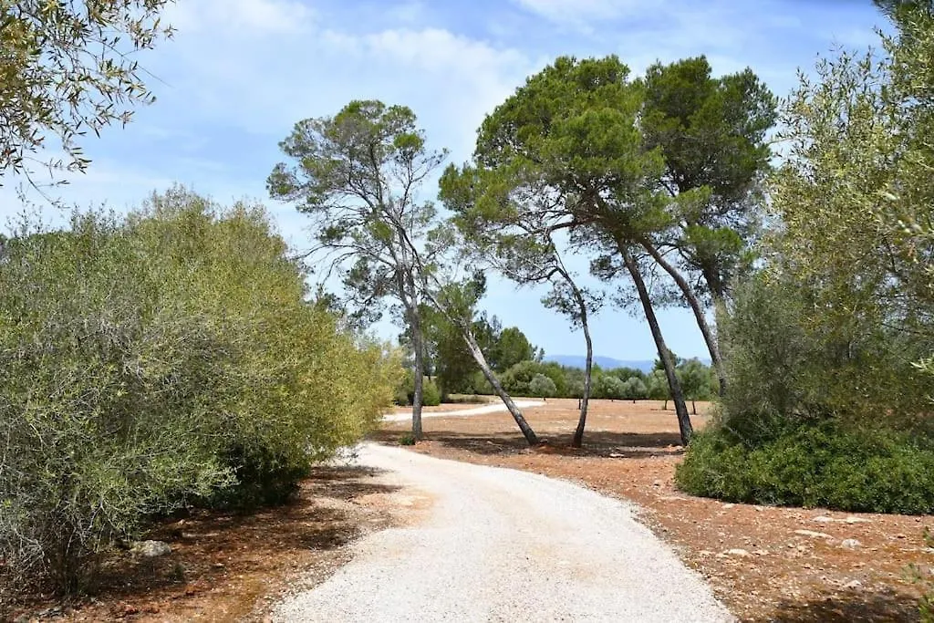 Finca Mia Limon Algaida  Spain
