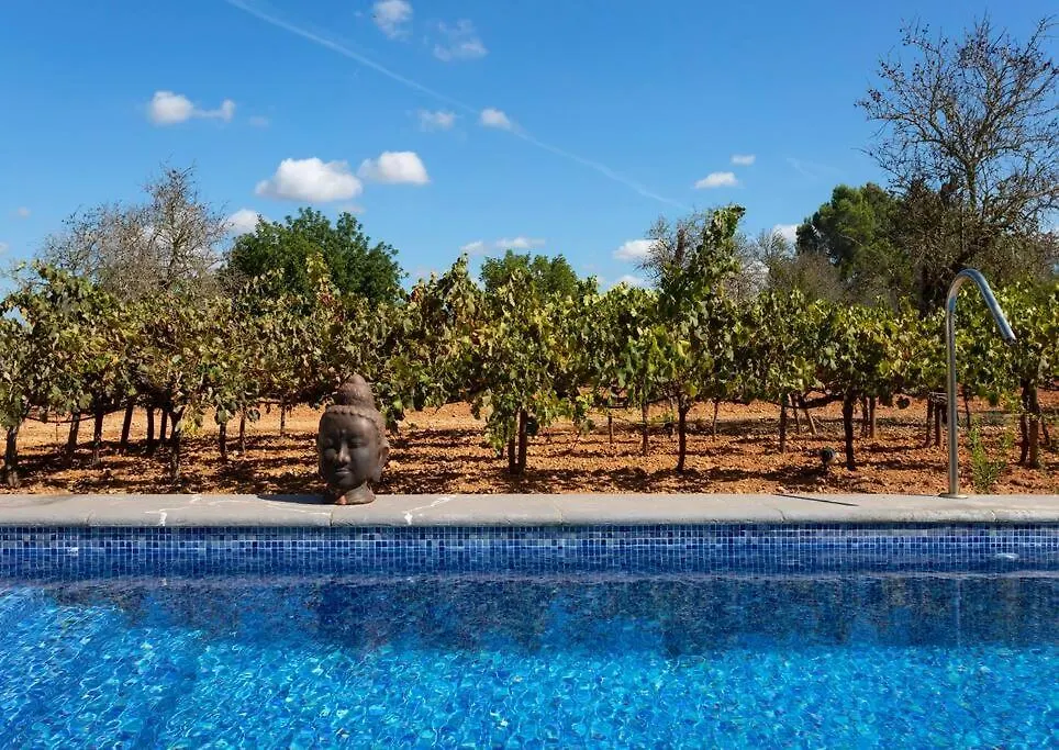 Finca Mia Limon Algaida  0*, Algaida (Mallorca) Spain